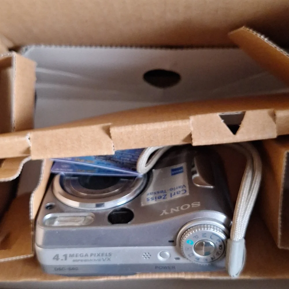 Sony Cyber-shot DS 60 Silver Digital Camera